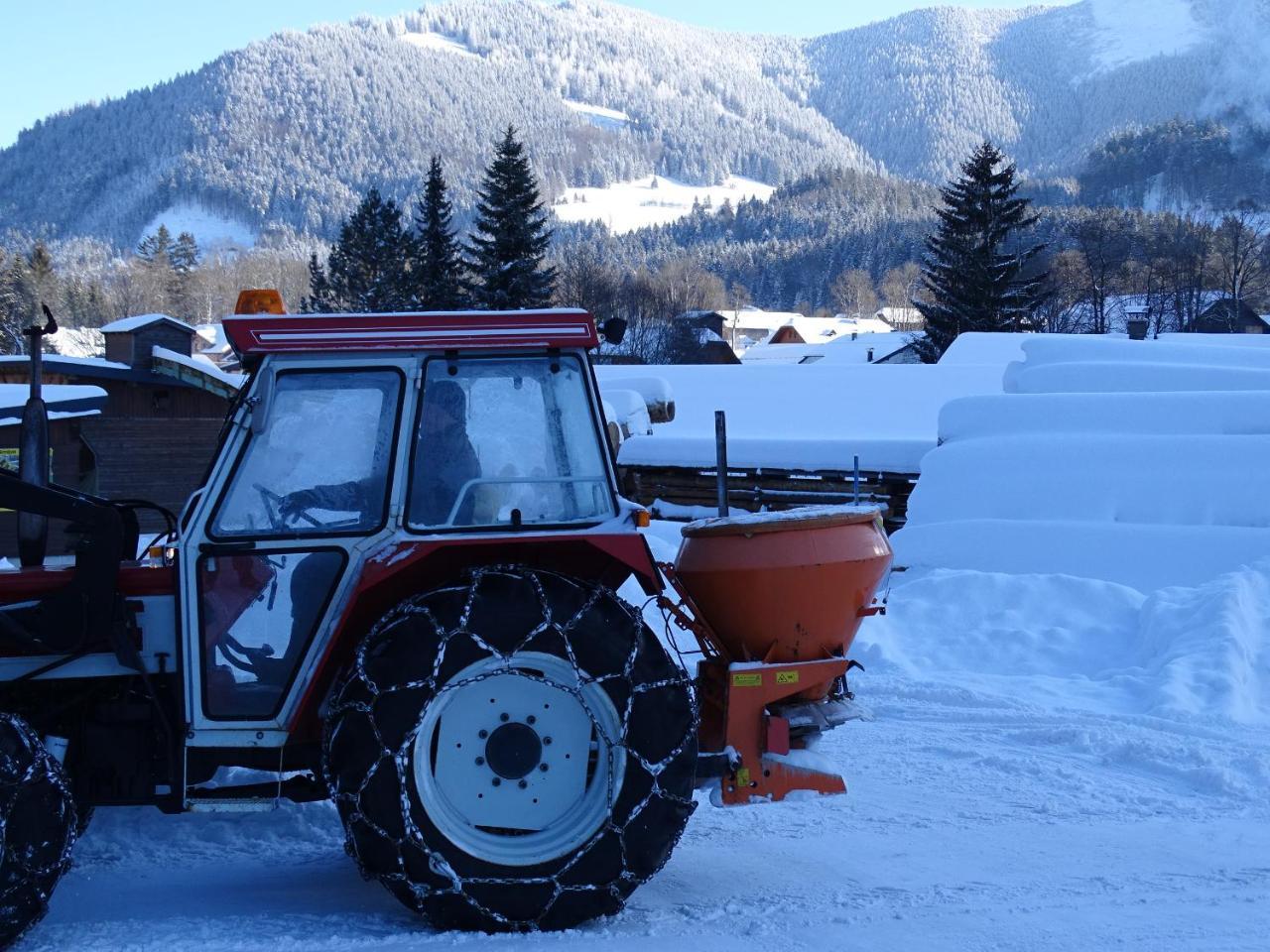 Stegmuehle I * Faistenau